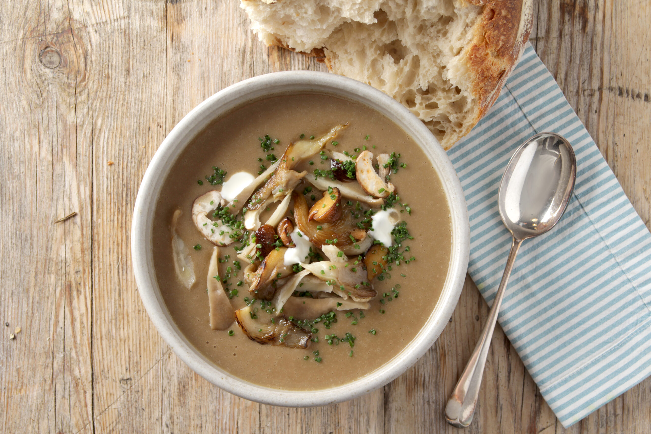 Wild Mushroom Soup